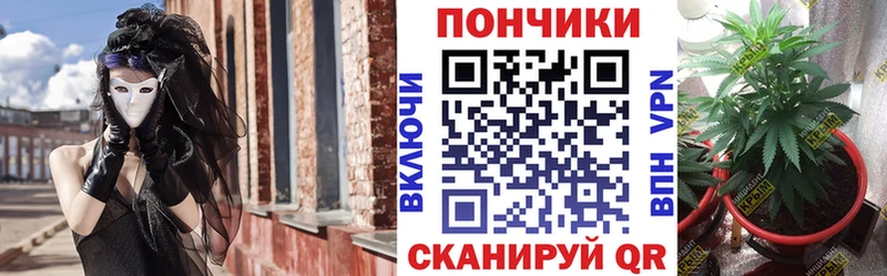Шишки марихуана THC 21%  Салаир 